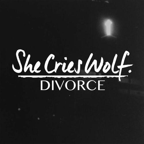 divorce在线观看,情感纠葛与家庭裂变的真实写照  第3张