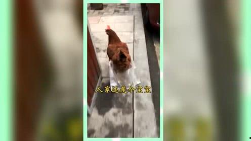 上进娱乐吃瓜群众,揭秘吃瓜群众的狂欢盛宴